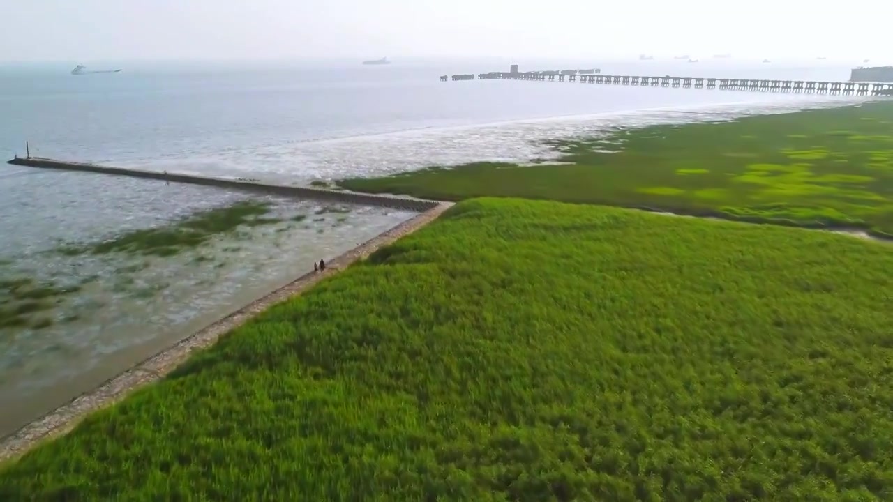 上海市崇明区-横沙岛湿地航拍视频下载