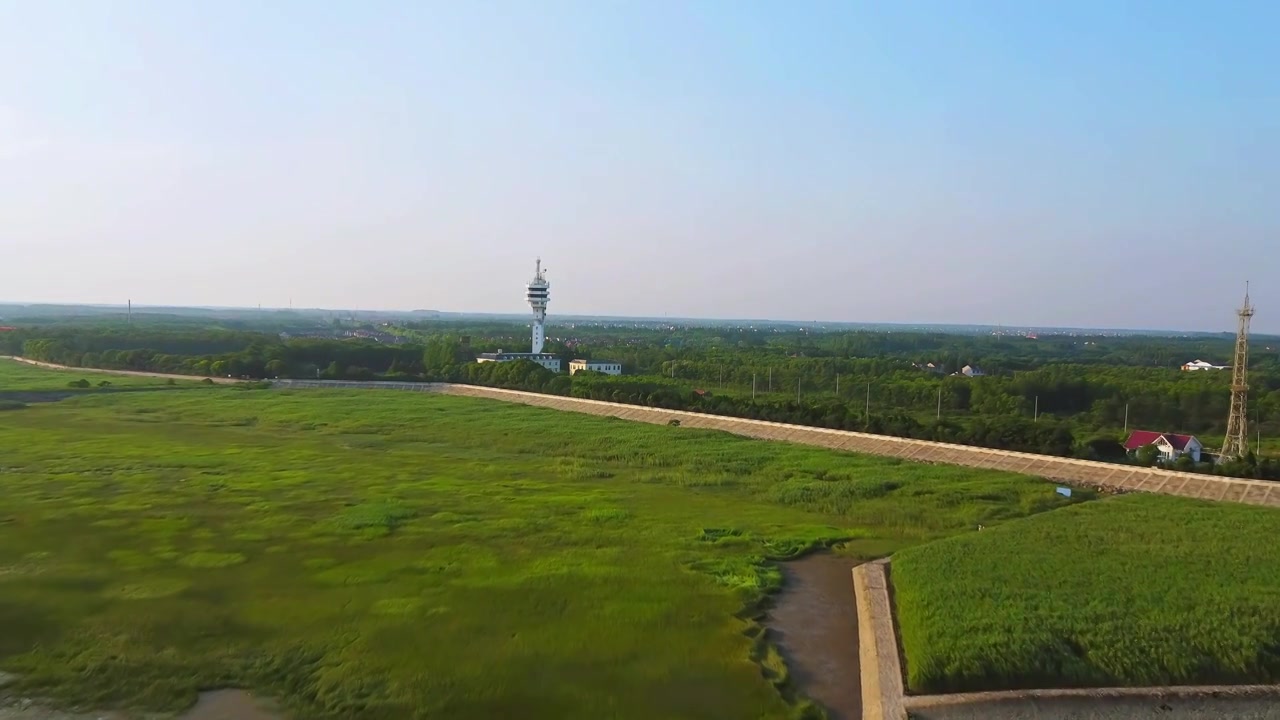 上海市崇明区-横沙岛湿地航拍视频素材