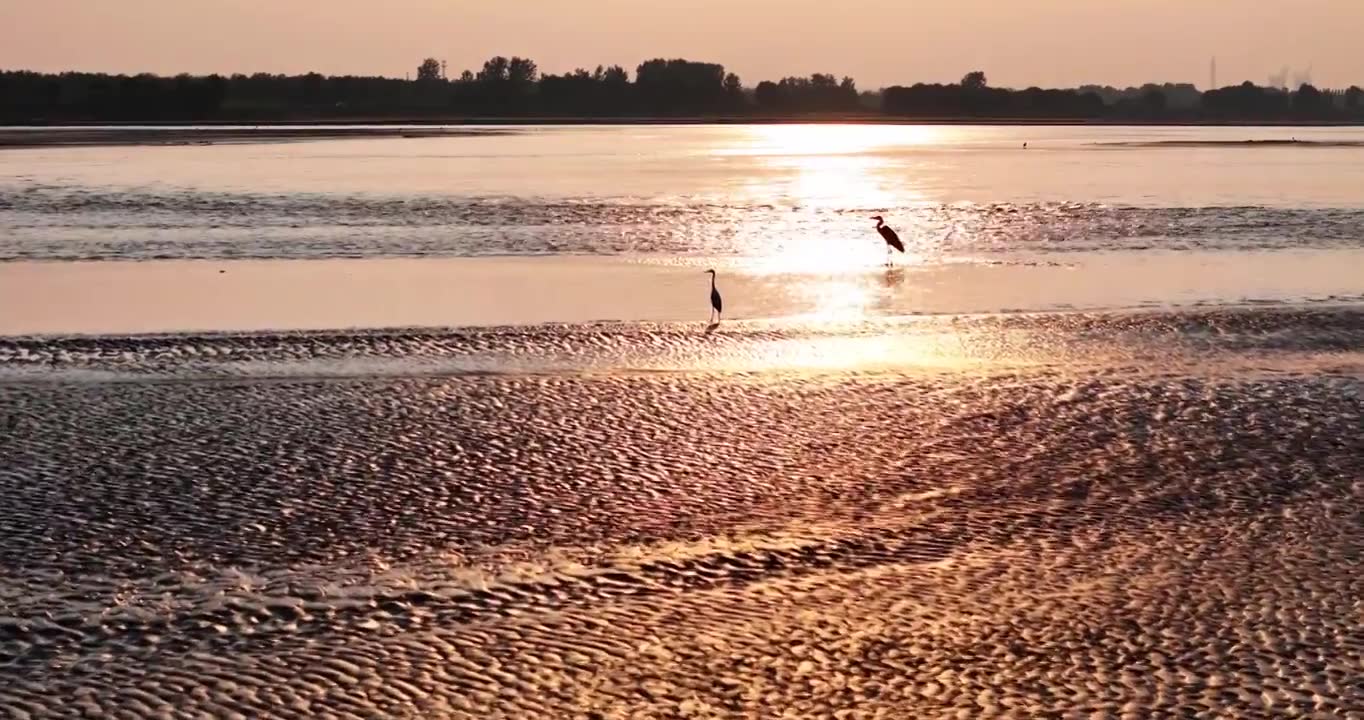 黄河生态湿地保护环境视频素材