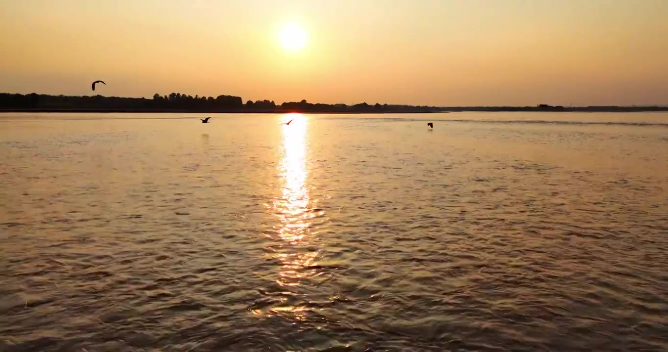 黄河生态湿地保护环境视频素材