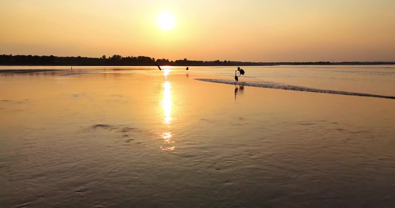 黄河生态湿地保护环境视频下载