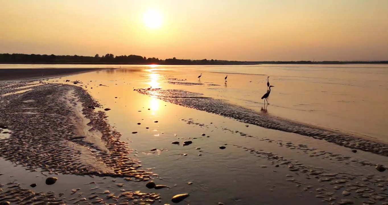 黄河生态湿地保护环境视频素材