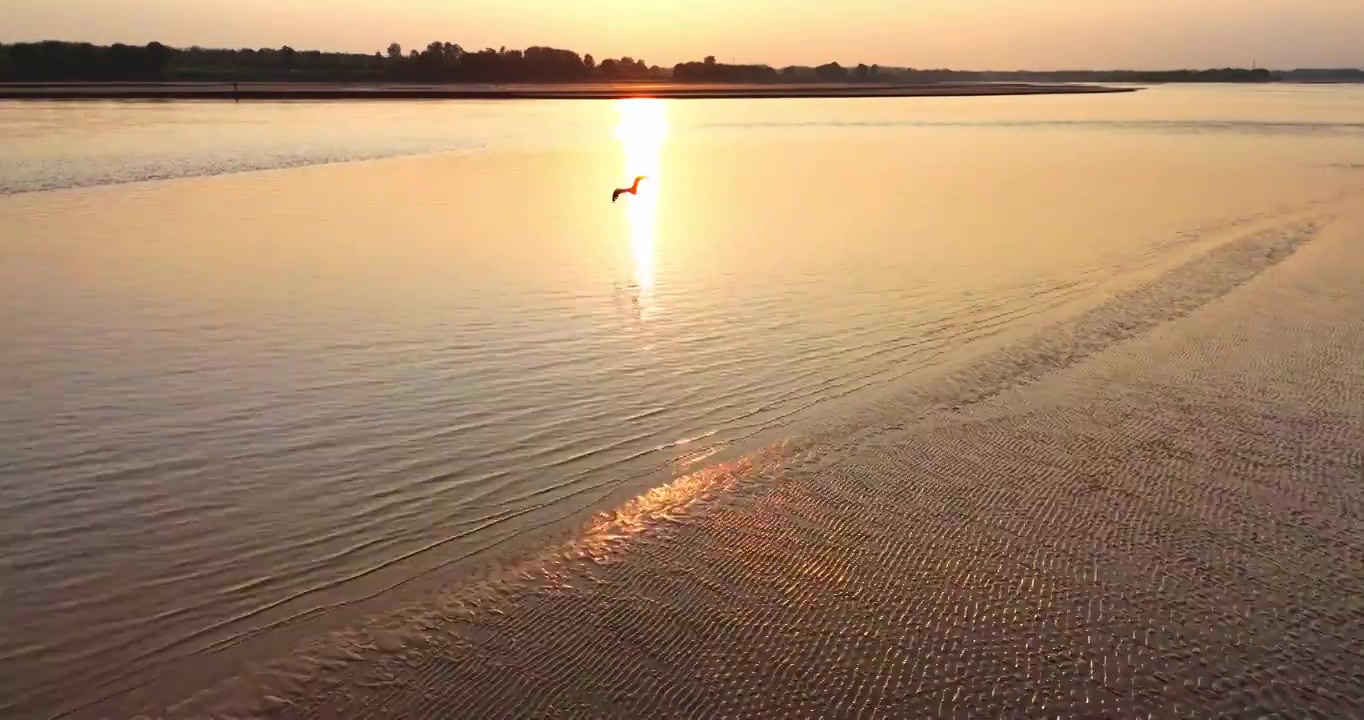 黄河生态湿地保护环境视频素材