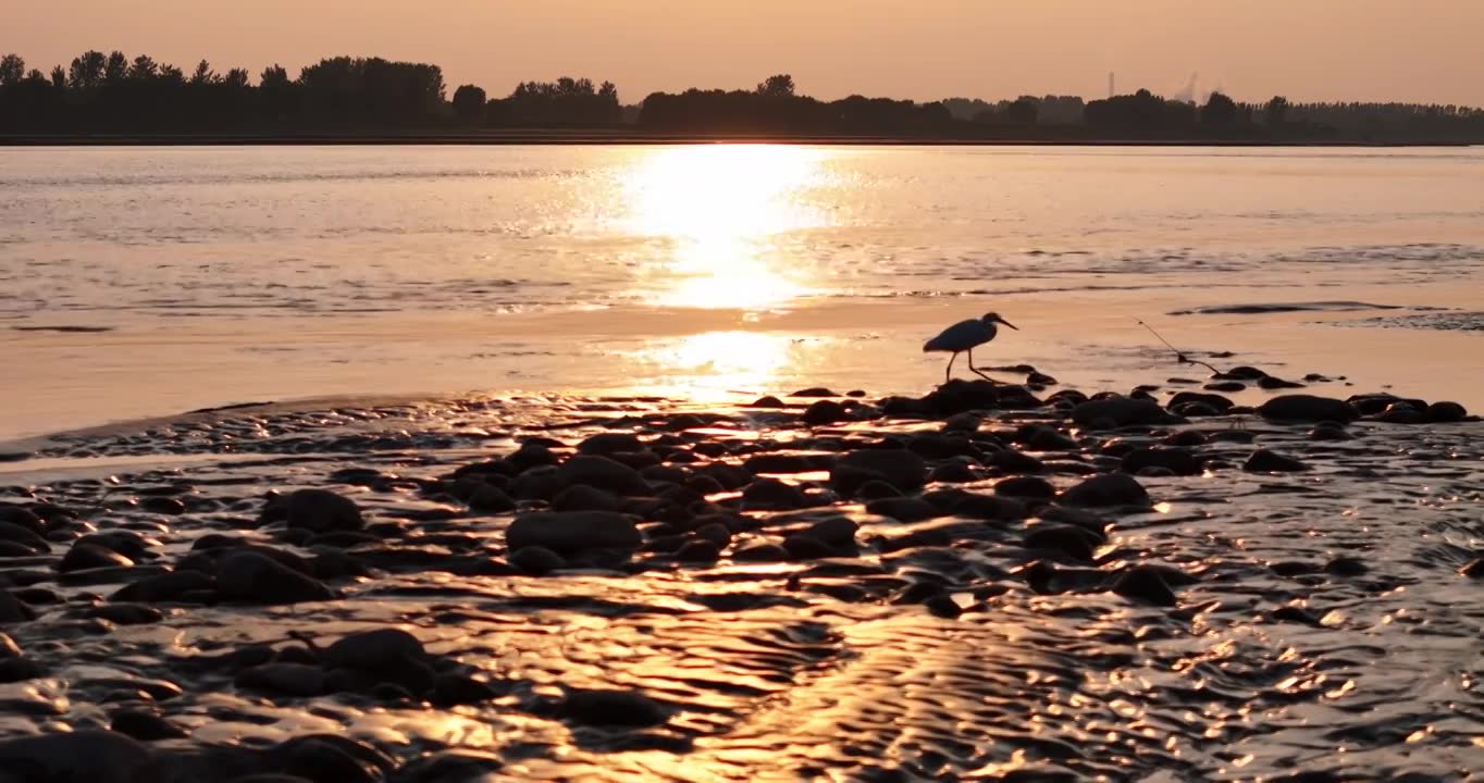 黄河生态湿地保护环境视频素材