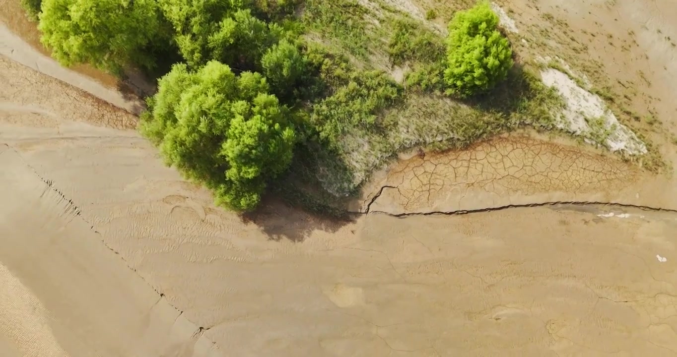 黄河生态湿地保护环境视频素材