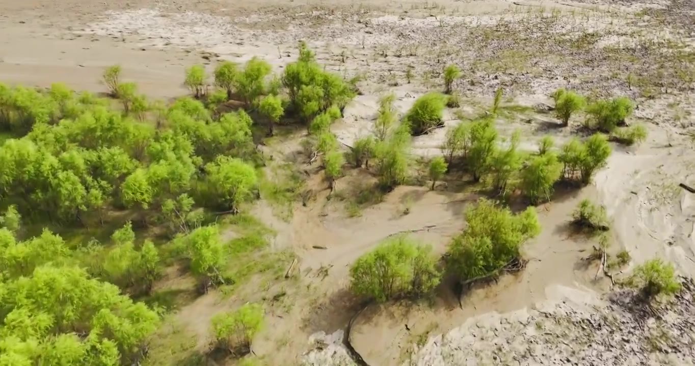 黄河生态湿地保护环境视频素材