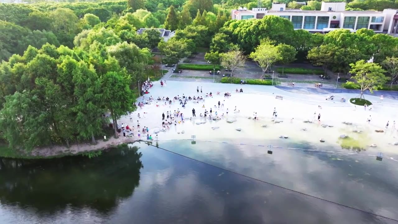 上海市浦东金海湿地公园视频素材