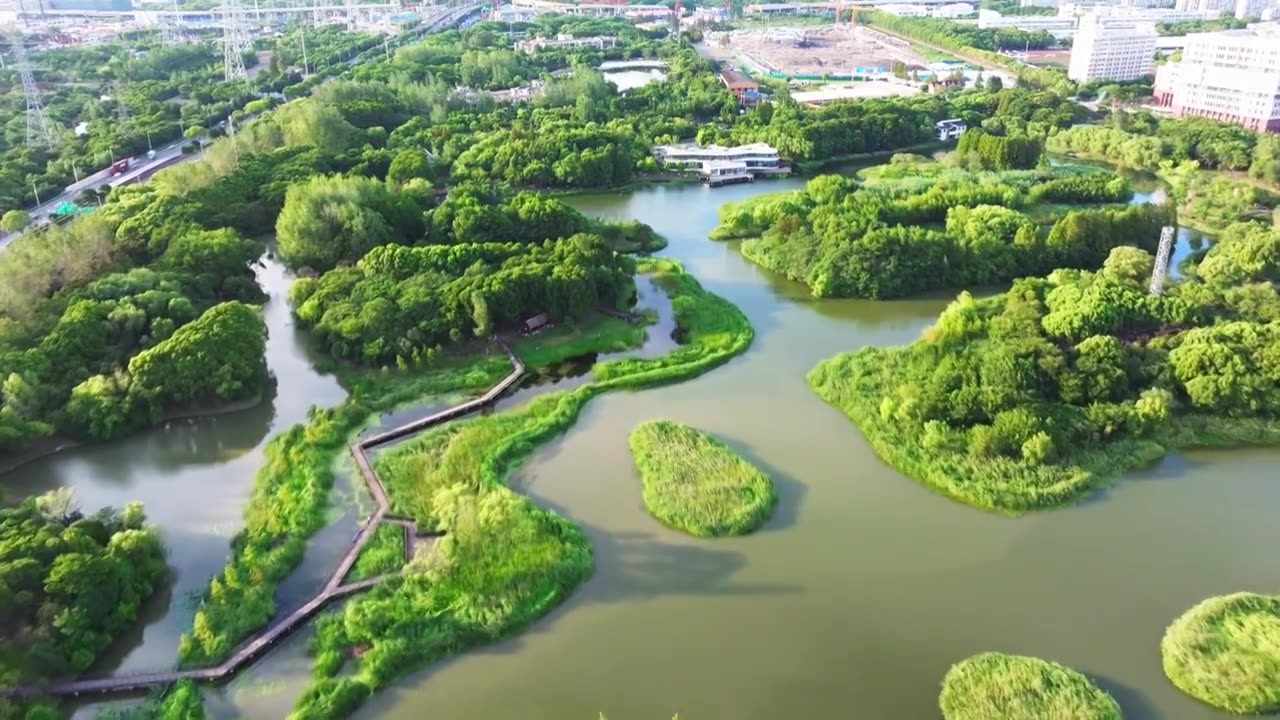 上海市浦东金海湿地公园视频下载