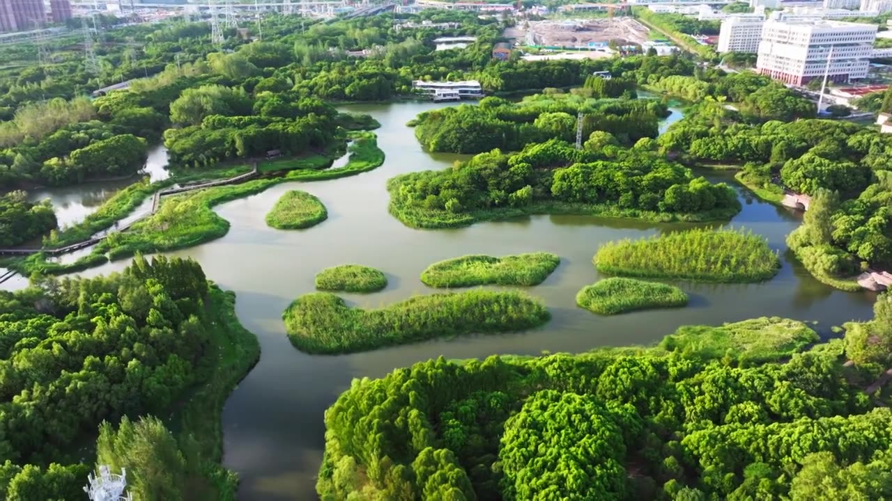 上海市浦东金海湿地公园视频素材