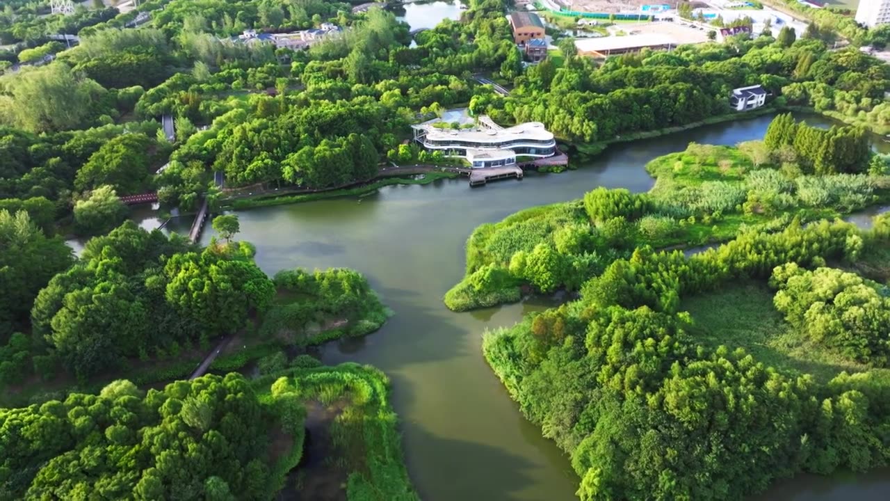 上海市浦东金海湿地公园视频下载