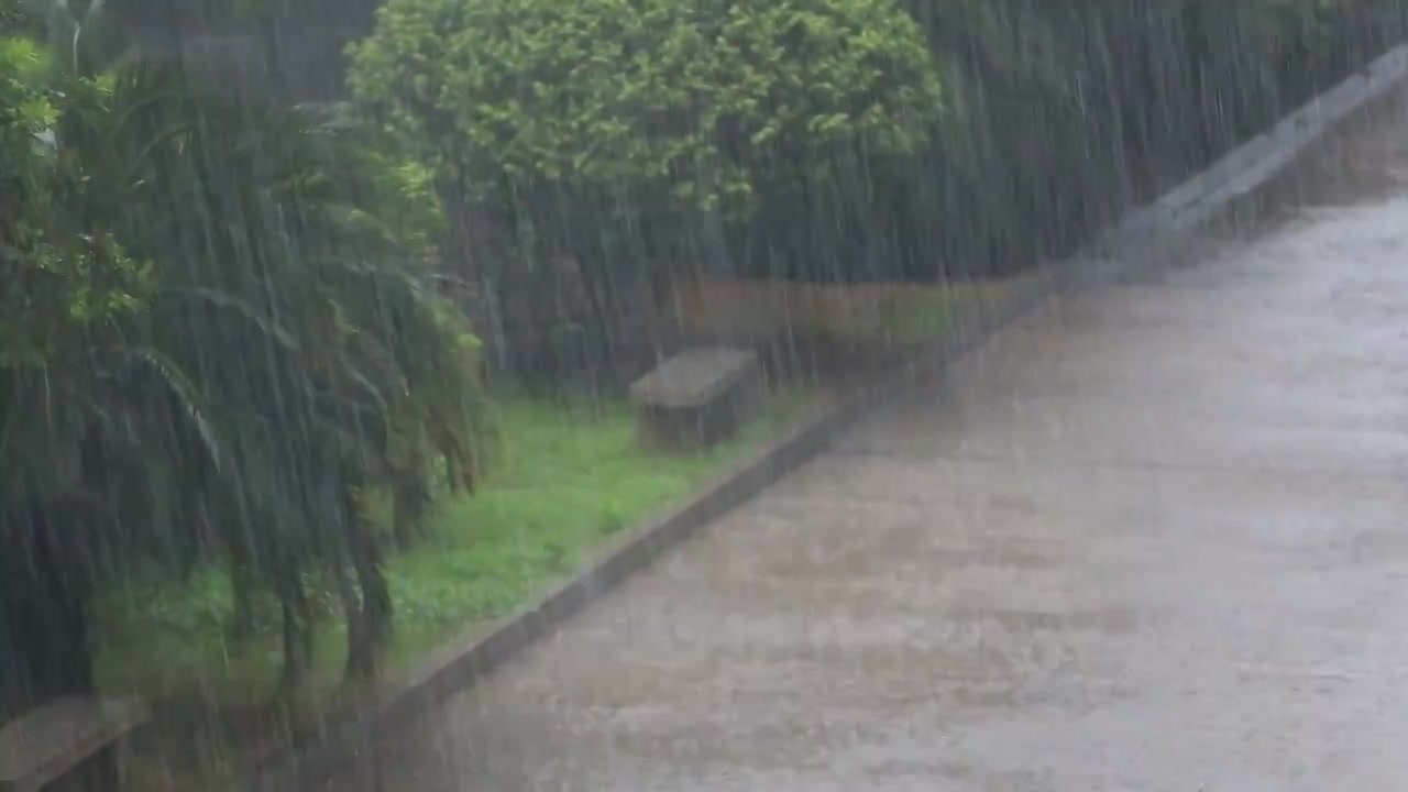 长沙市大暴雨天气视频下载