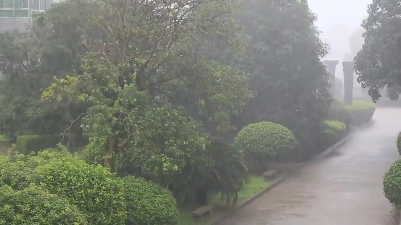 长沙市大暴雨天气视频下载