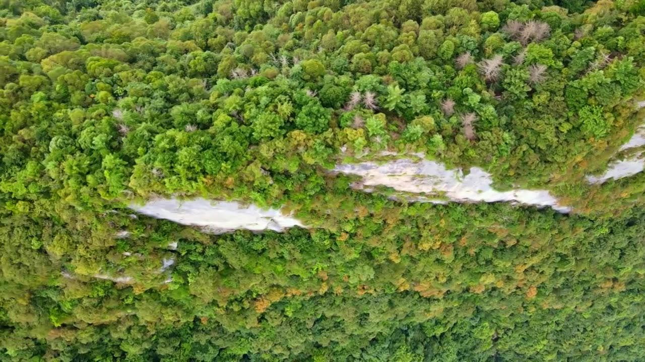 航拍五里坡国家级自然保护区视频下载