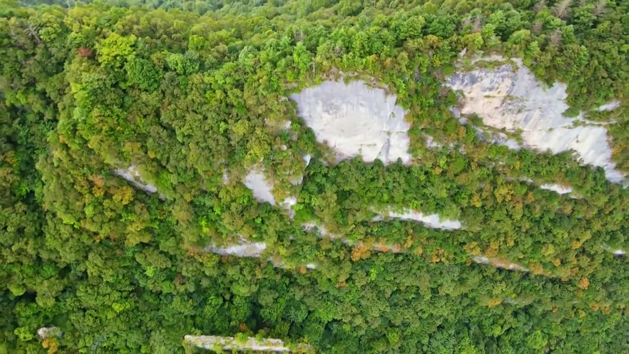 航拍五里坡国家级自然保护区视频下载