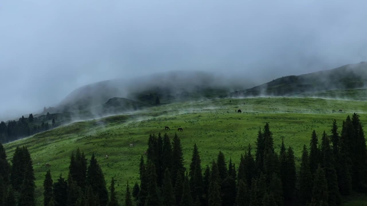 新疆伊犁雪山草原合集视频下载