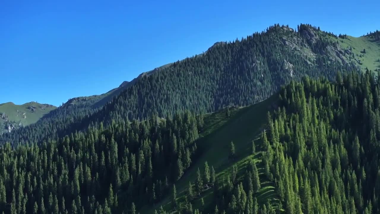 新疆雪山森林航拍合集视频下载