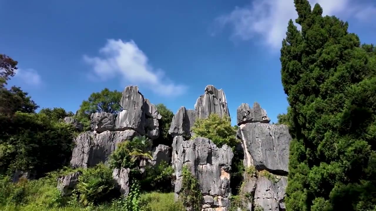 云南石林风光   石林风景区莲花池、虎啸南天 、步哨山等景点视频下载