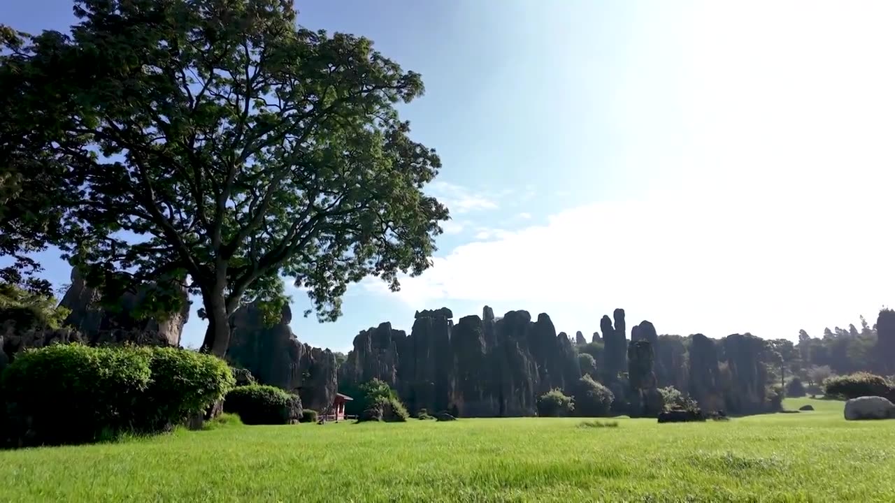 云南石林风光   石林风景区石林胜境景点   小石林草坪   莲花池   剑峰池   虎啸南天景点视频素材