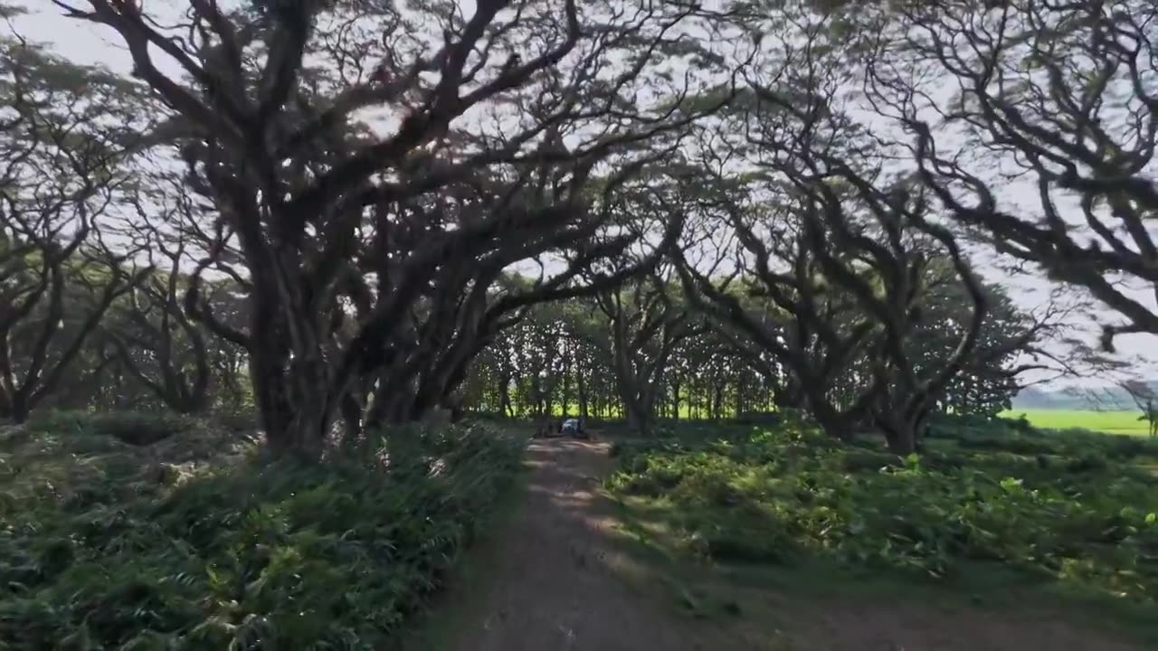 印度尼西亚风光视频下载