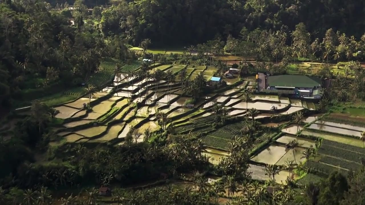 印度尼西亚风光视频下载