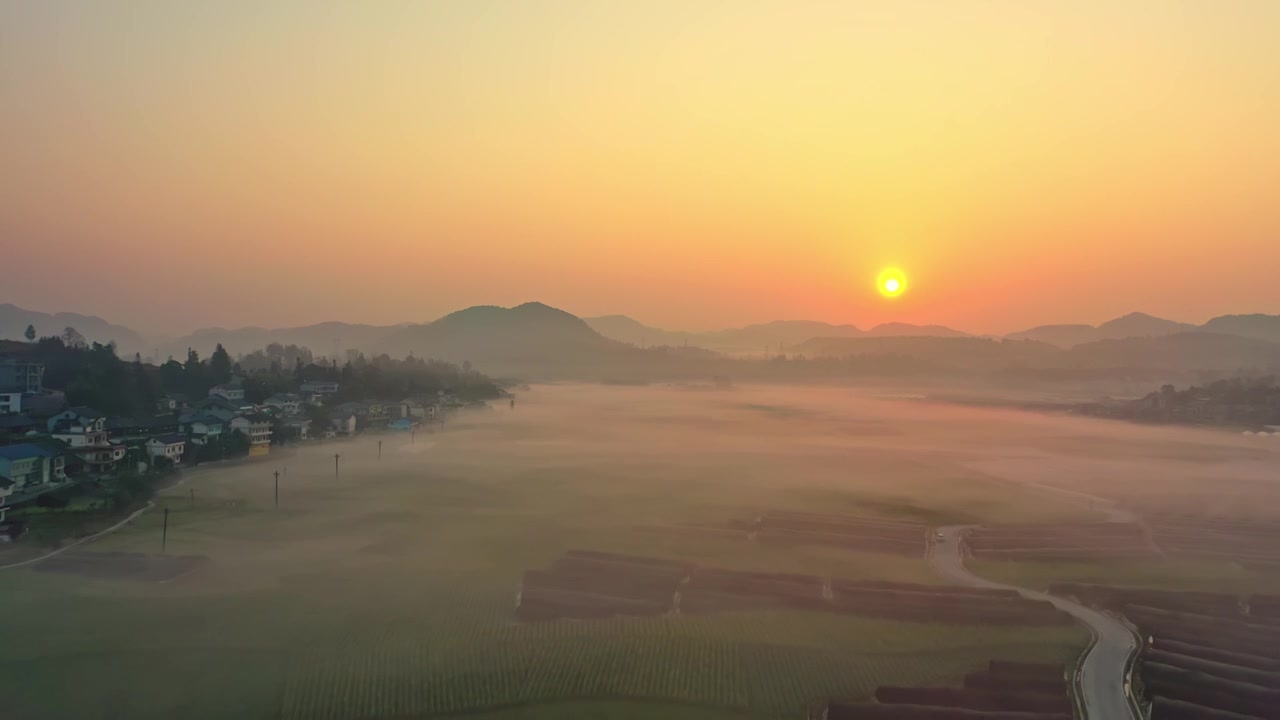 贵州遵义贡米村油菜花日出晨雾航拍风光视频素材