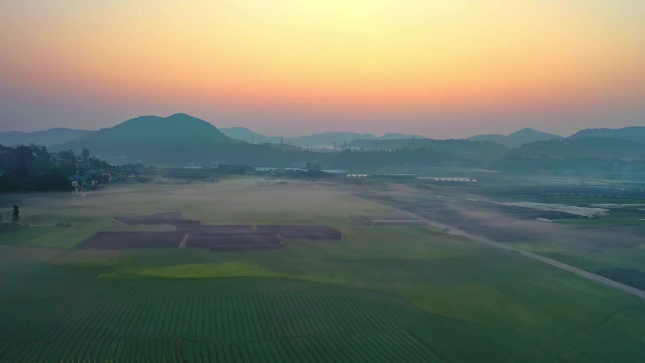 贵州遵义贡米村油菜花日出晨雾航拍风光视频素材