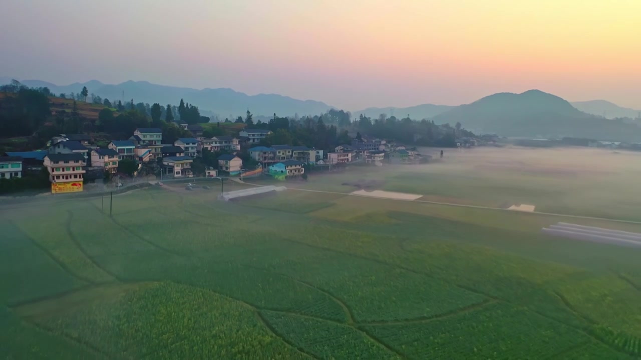 贵州遵义贡米村油菜花日出晨雾航拍风光视频素材