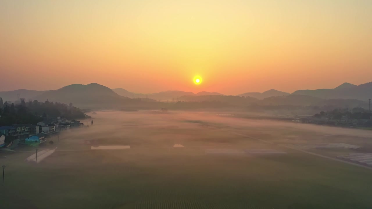 贵州遵义贡米村油菜花日出晨雾航拍风光视频素材