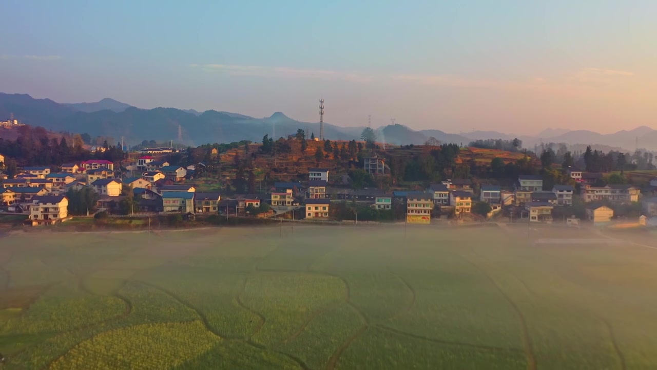 贵州遵义贡米村油菜花日出晨雾航拍风光视频素材