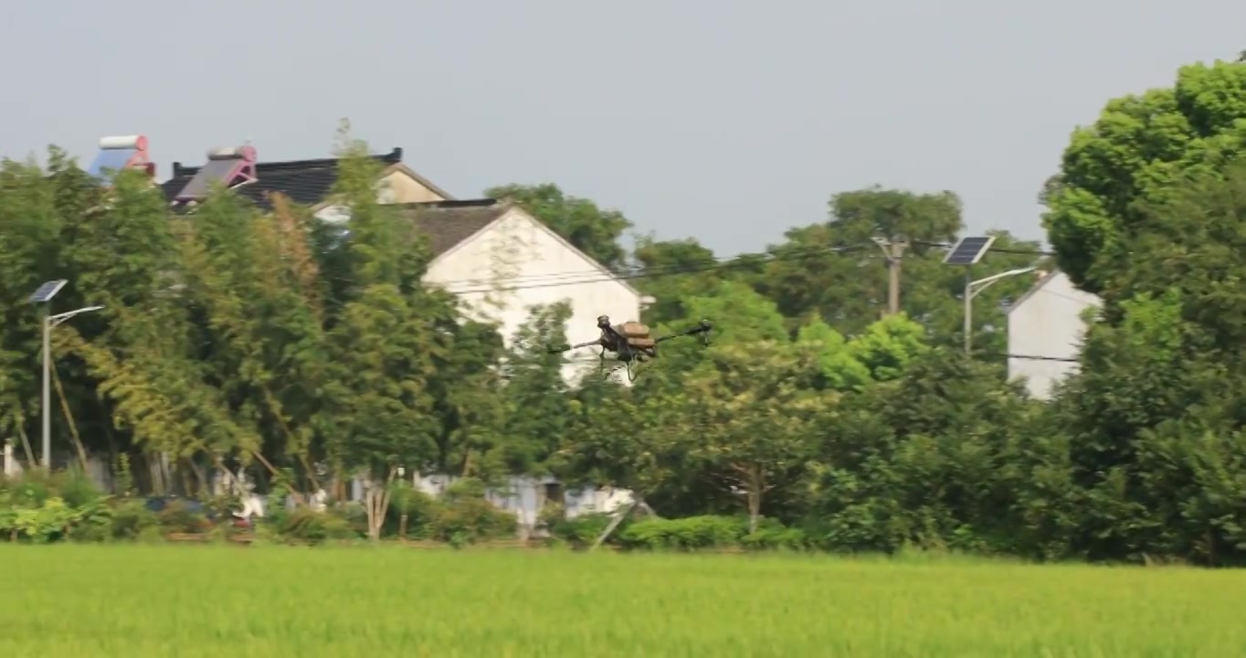 农业无人机在稻田里喷洒肥料视频下载