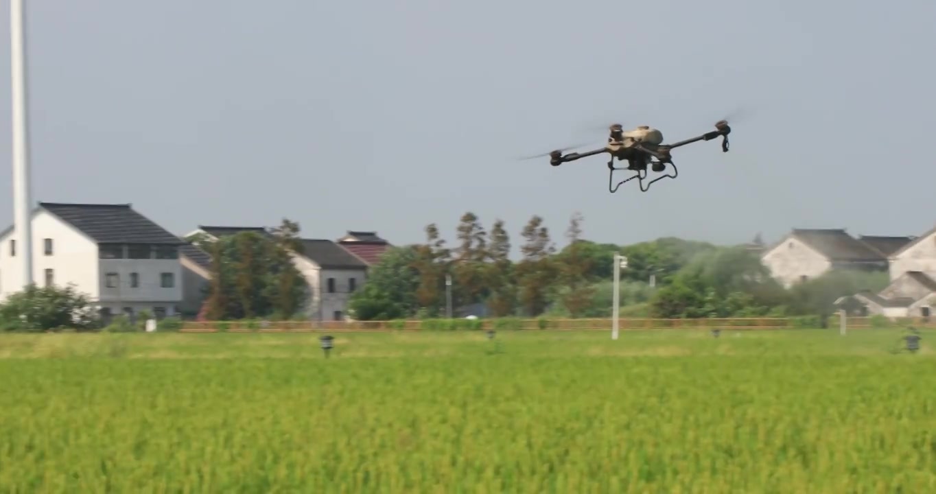 农业无人机在稻田里喷洒肥料视频下载