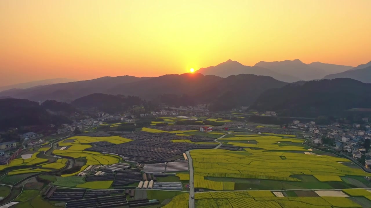 贵州遵义乡村春天油菜花风光视频素材