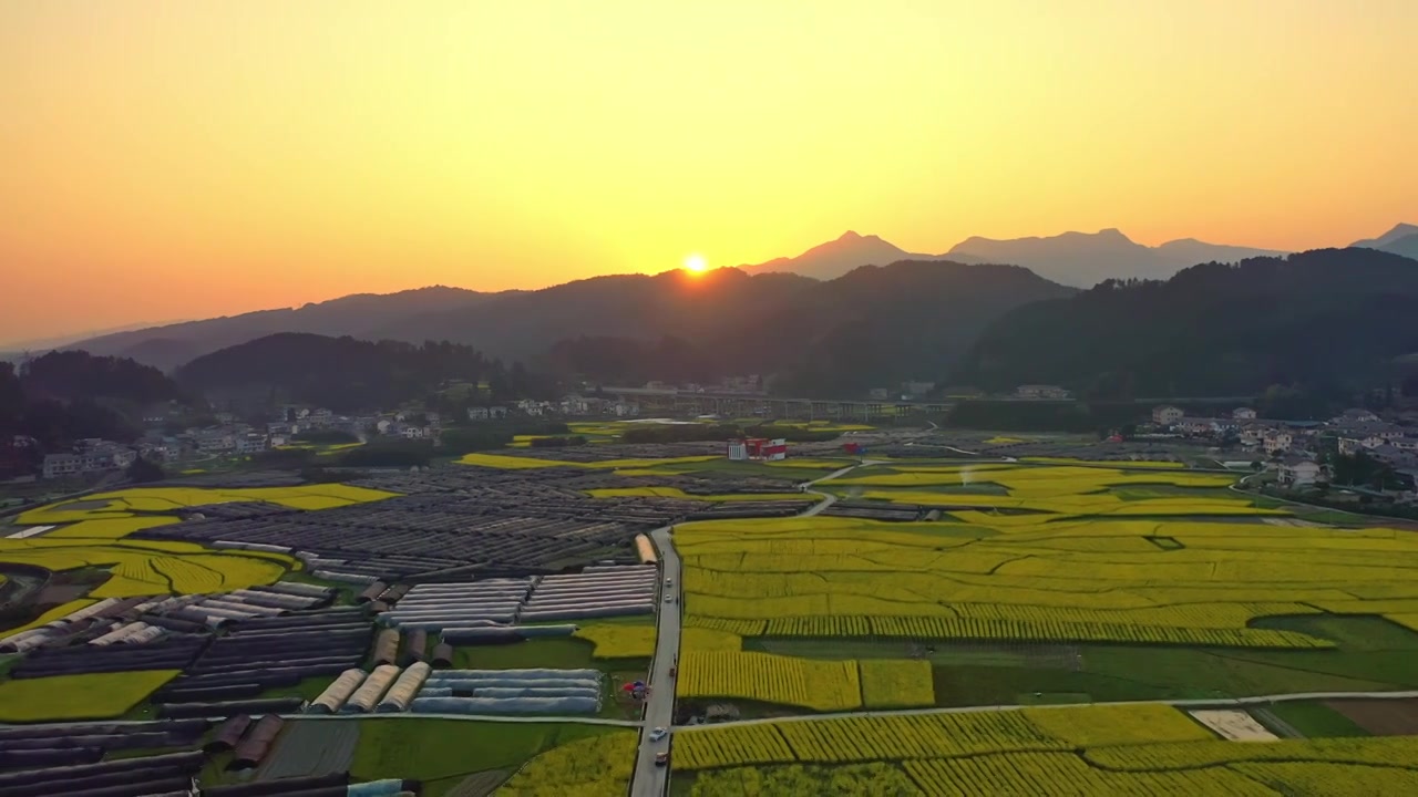 贵州遵义乡村春天油菜花风光视频素材