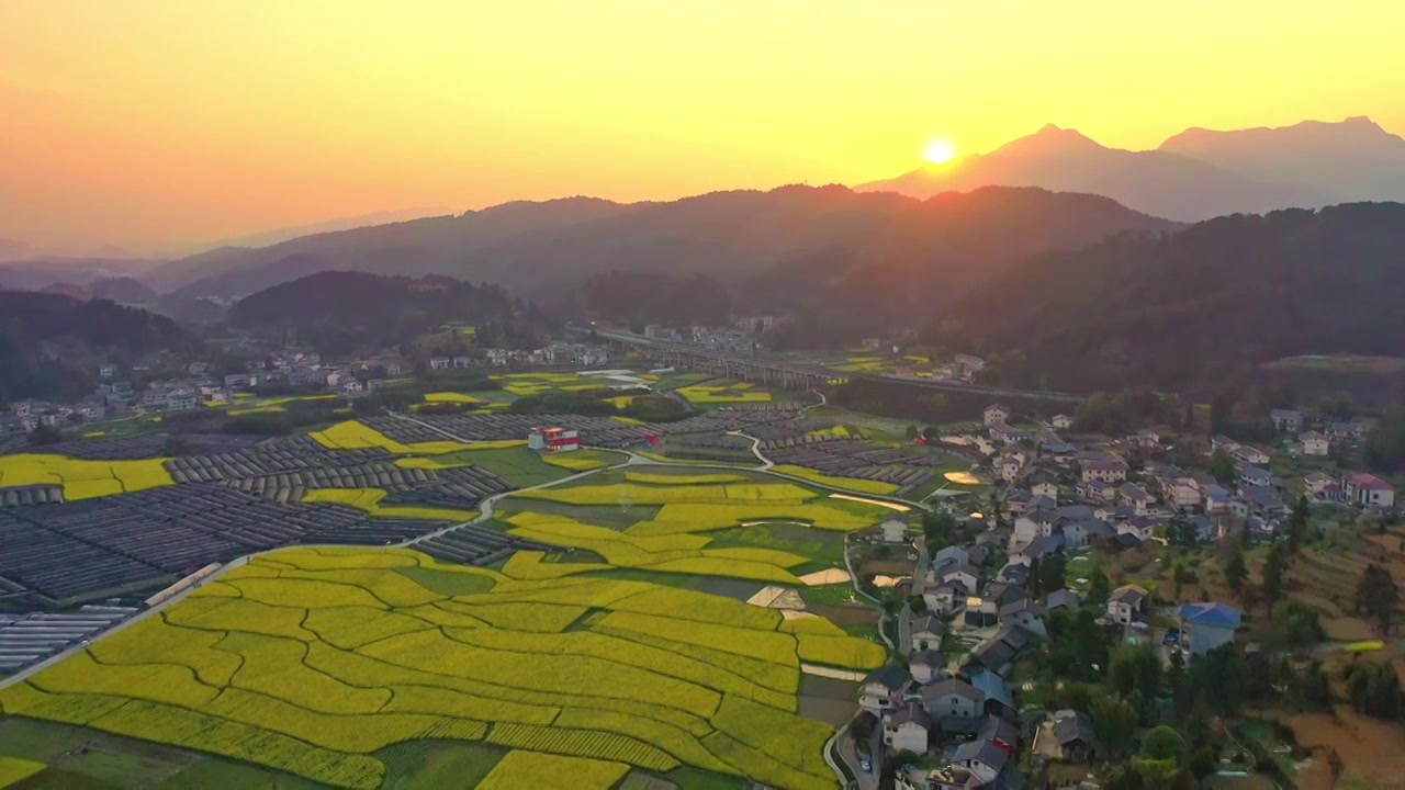 贵州遵义乡村春天油菜花风光视频下载