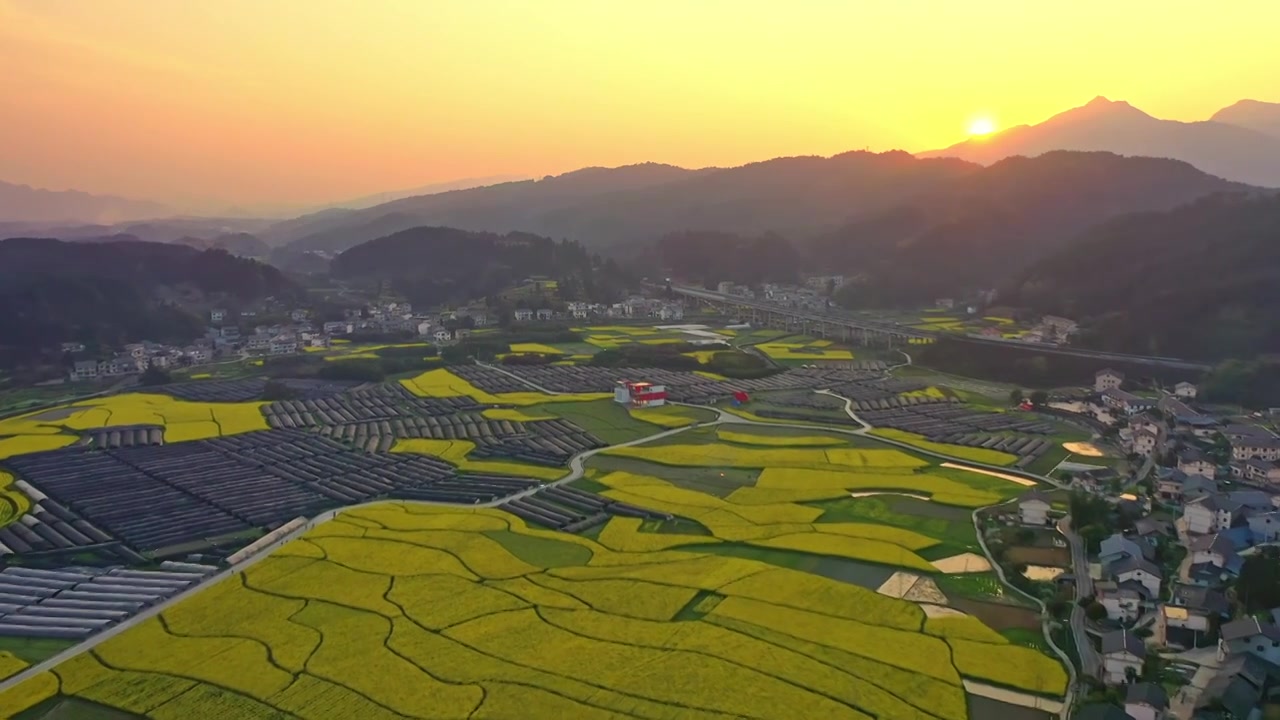 贵州遵义乡村春天油菜花风光视频素材