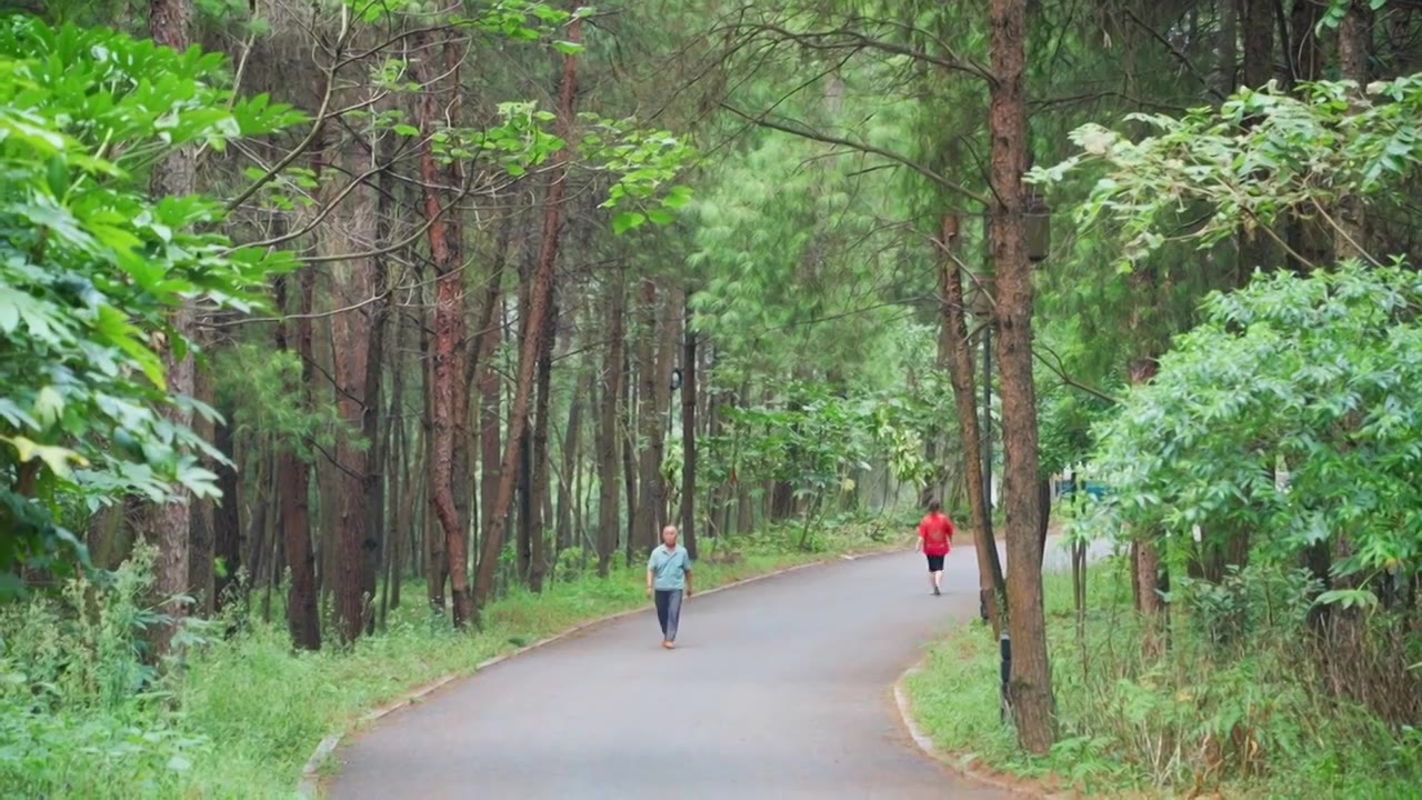 贵州遵义莲花山森林公园风光视频下载