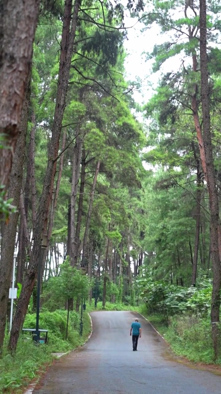 贵州遵义莲花山森林公园风光视频下载