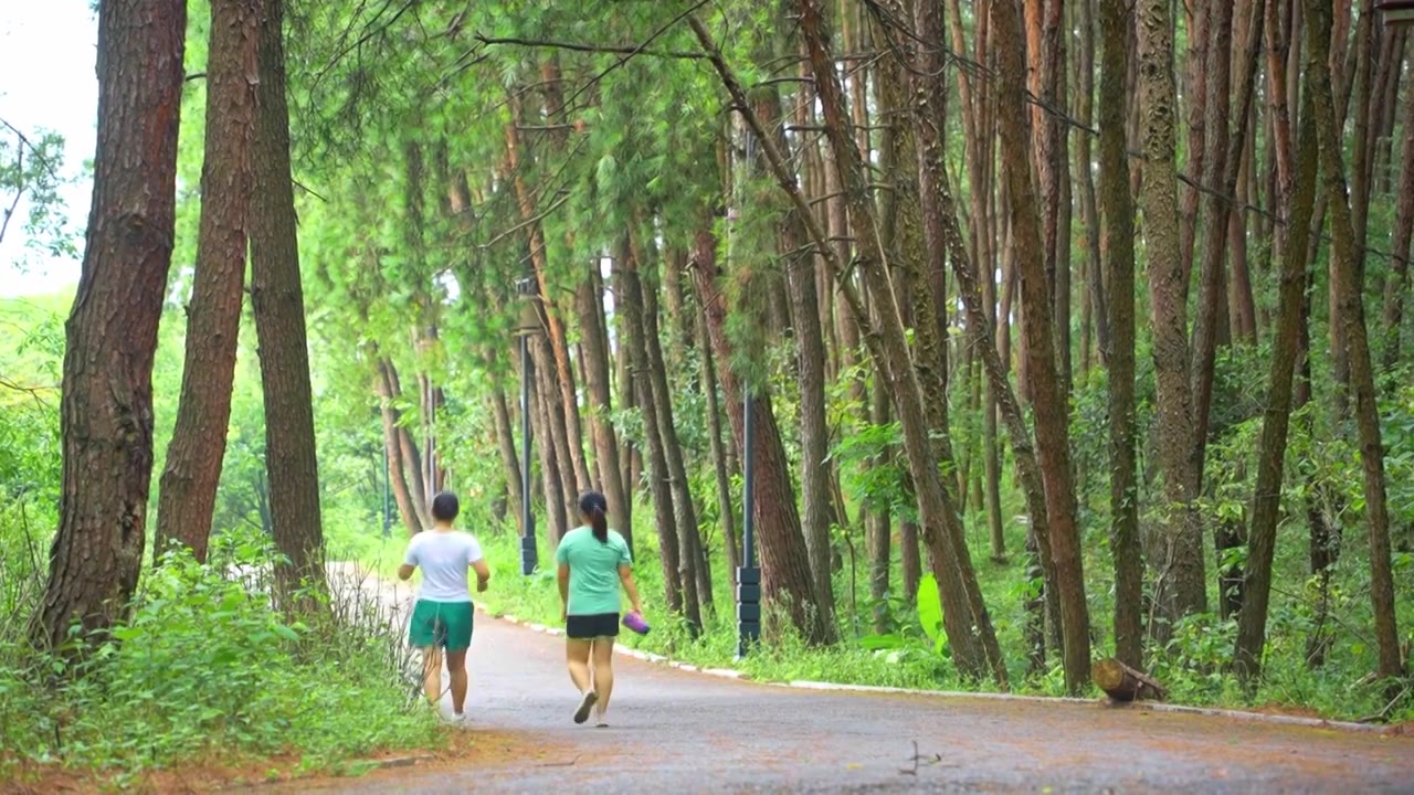 贵州遵义莲花山森林公园风光视频下载