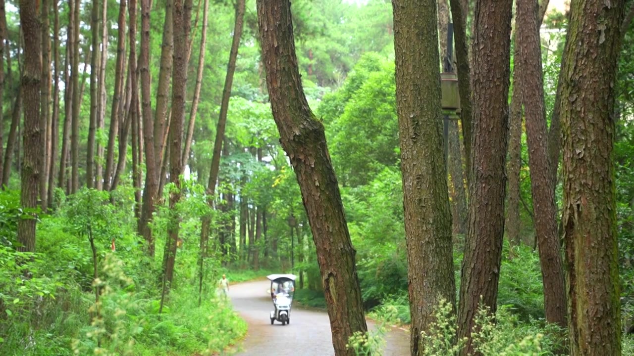 贵州遵义莲花山森林公园风光视频下载