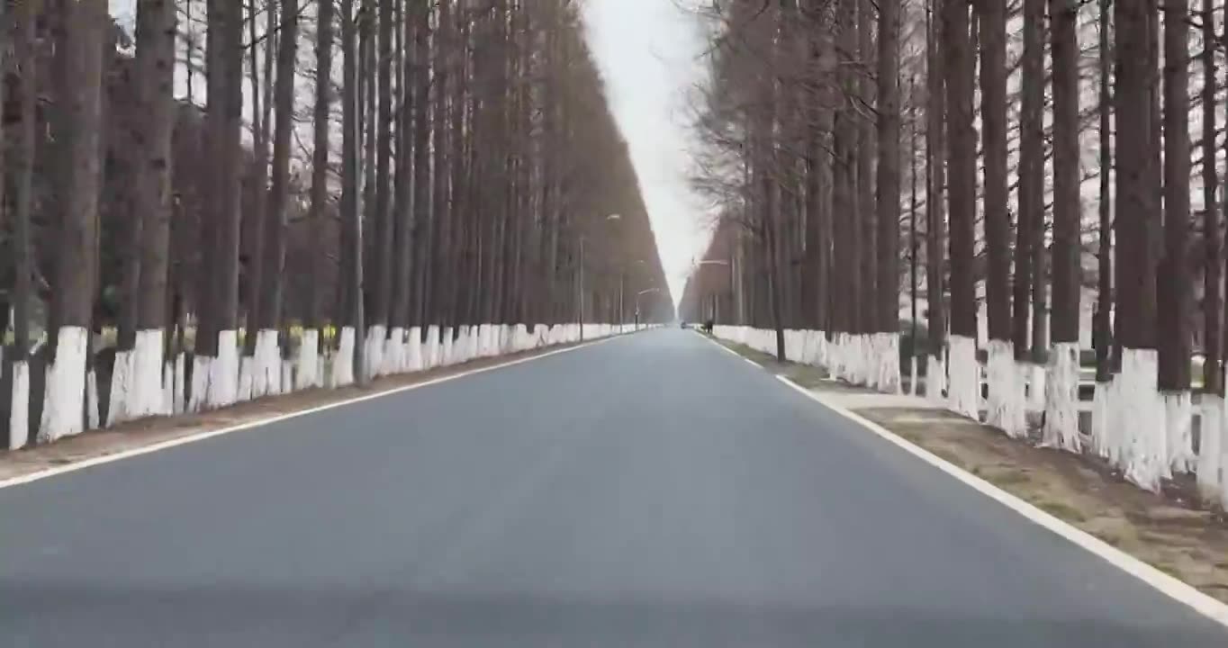 上海市崇明区-行驶在乡间道路上视频素材