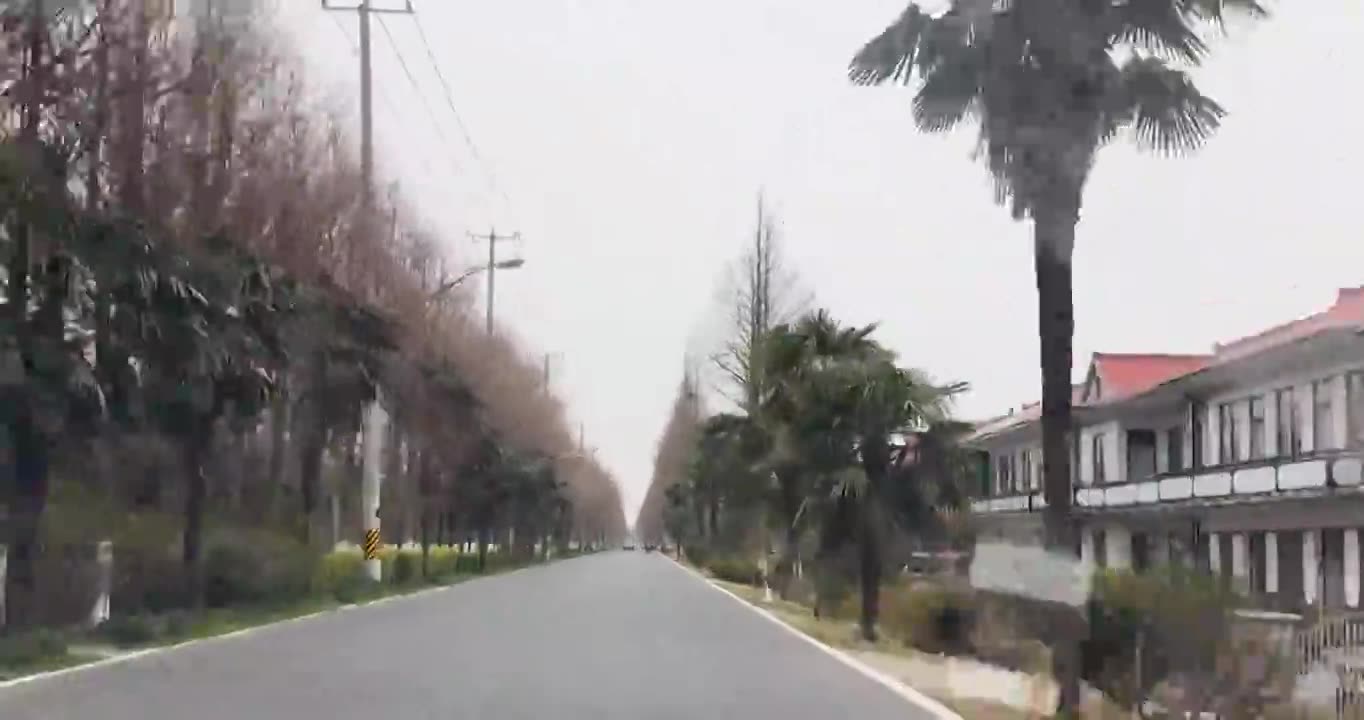 上海市崇明区-行驶在乡间道路上视频素材