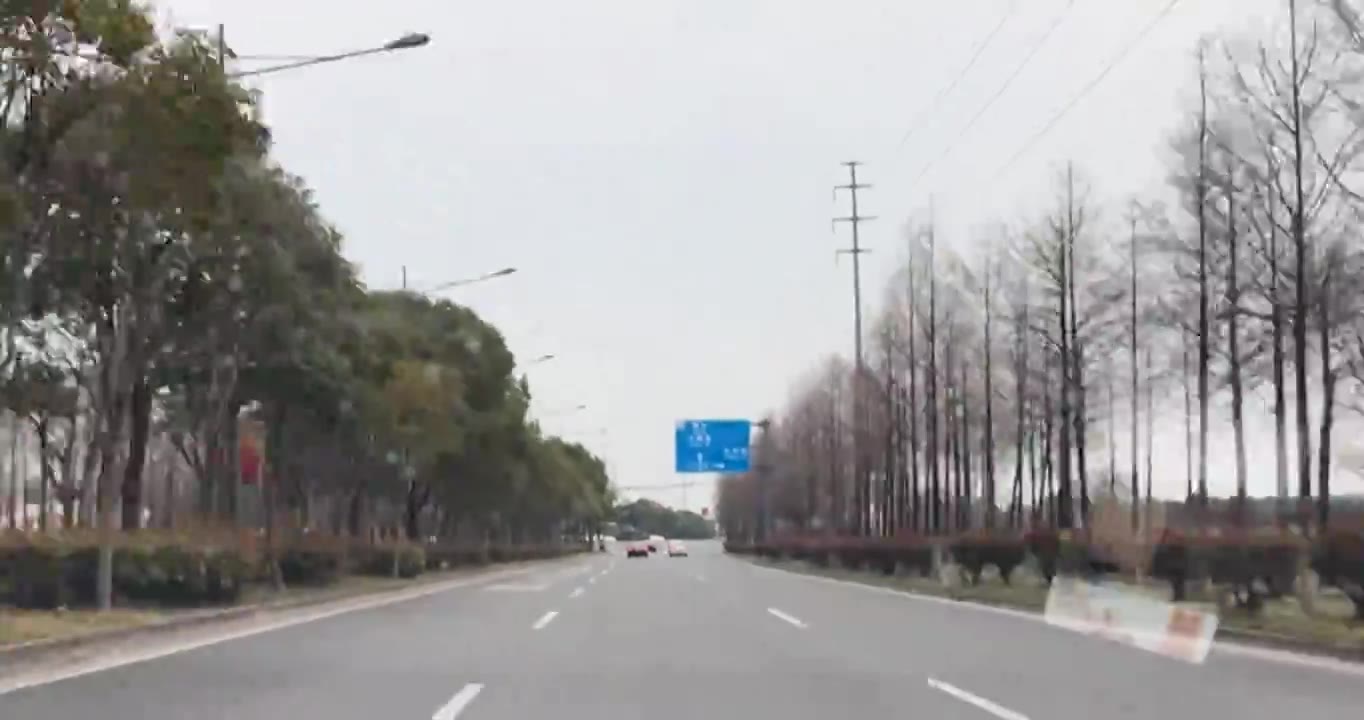 上海市崇明区-行驶在乡间道路上视频素材