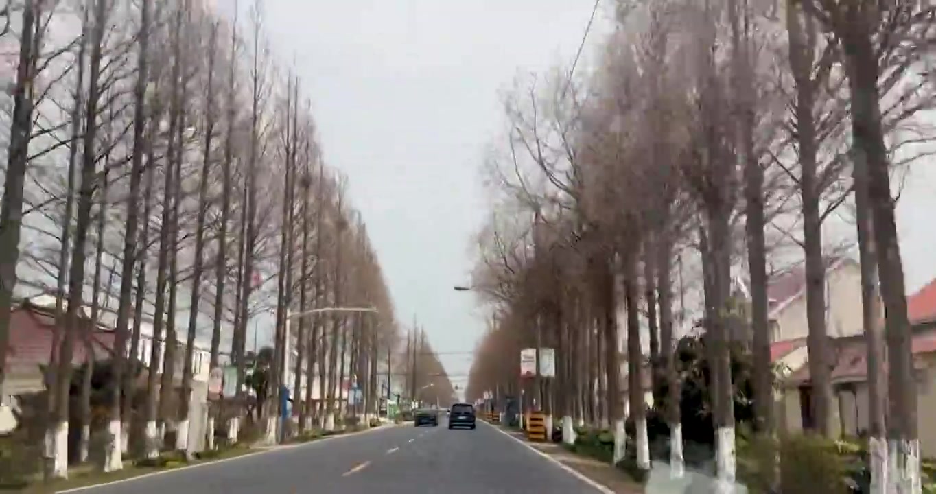 上海市崇明区-行驶在乡间道路上视频素材