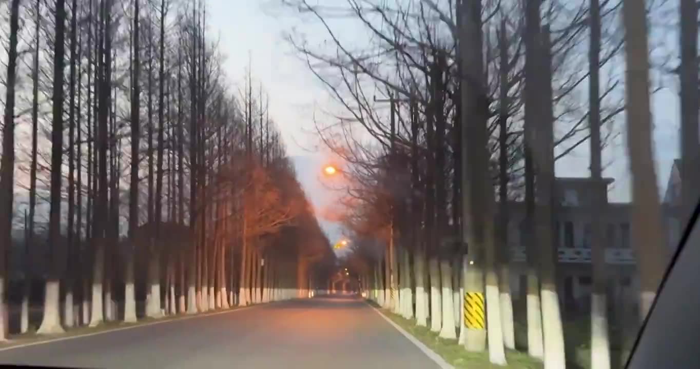 上海市崇明区-行驶在乡间道路上视频素材