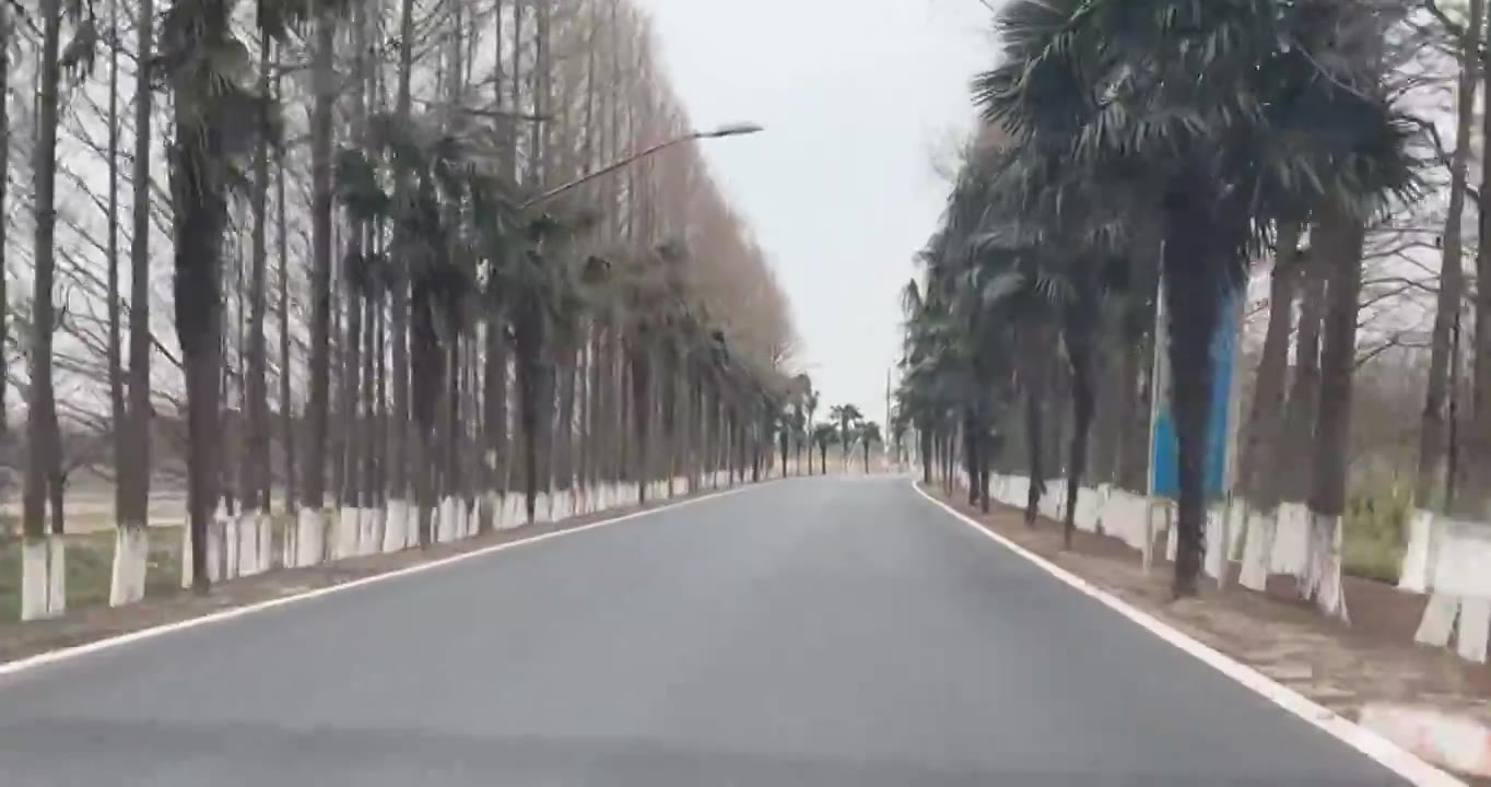 上海市崇明区-行驶在乡间道路上视频素材