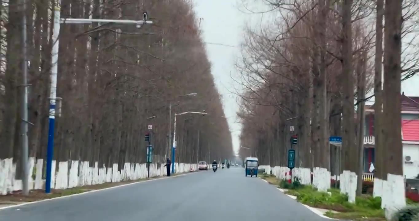 上海市崇明区-行驶在乡间道路上视频素材