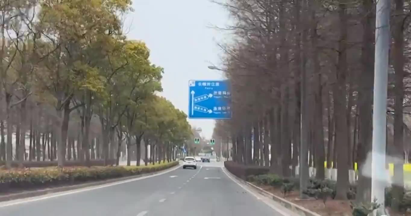 上海市崇明区-行驶在乡间道路上视频下载