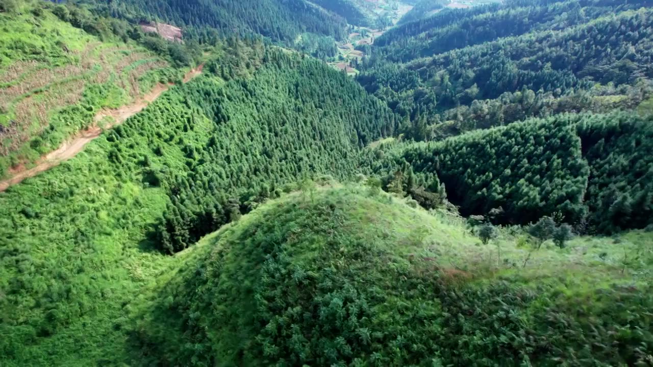 航拍贵州兴义包包山森林视频下载