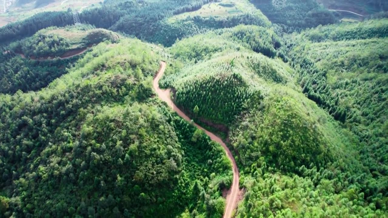 航拍贵州兴义包包山森林视频下载