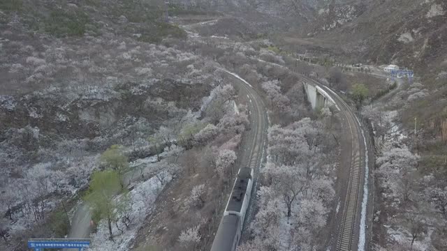 雪后居庸关长城花海航拍视频视频素材